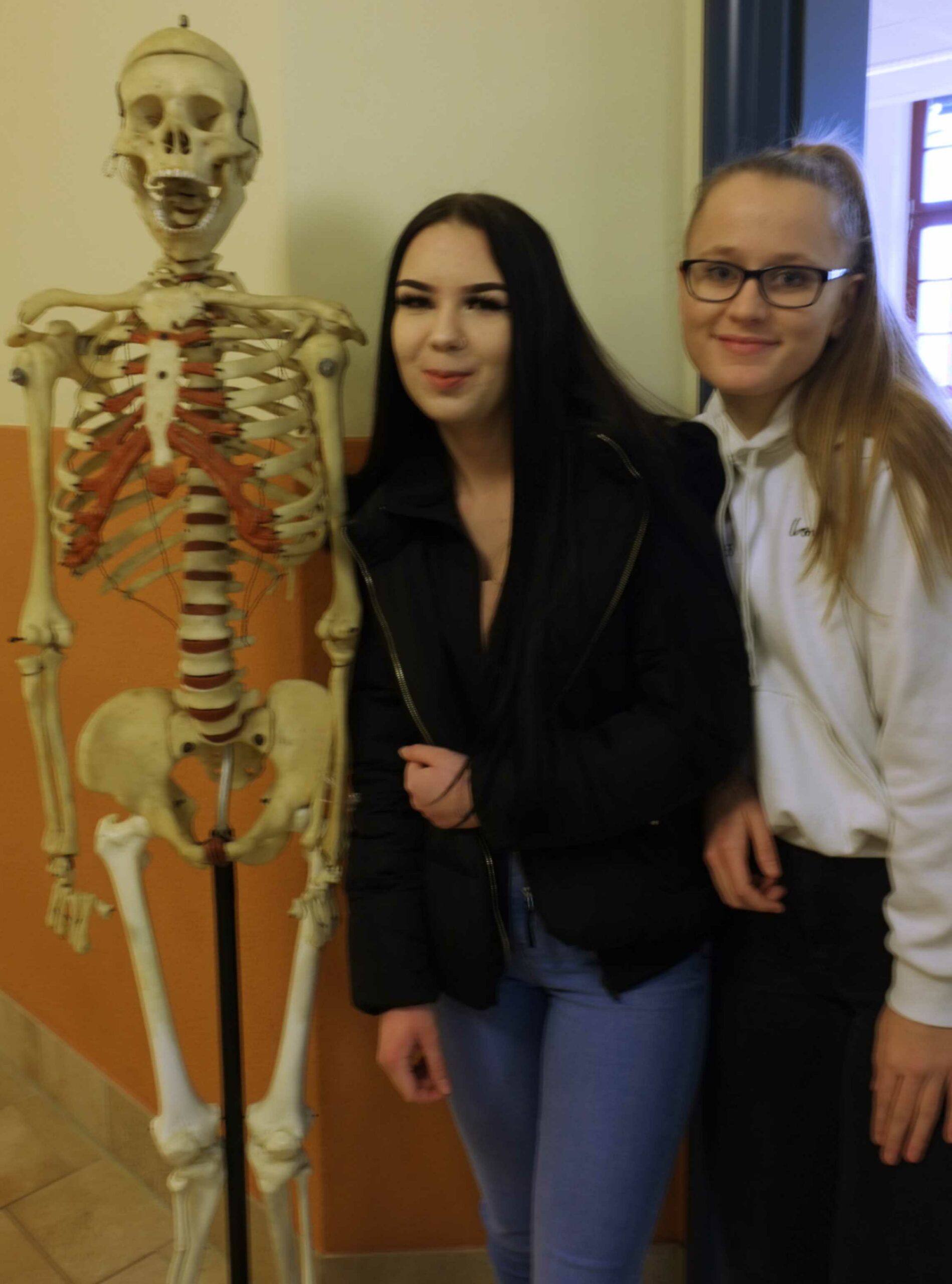 Auf diesem Bild sehen Sie zwei Schülerinnen neben einem Skelett.