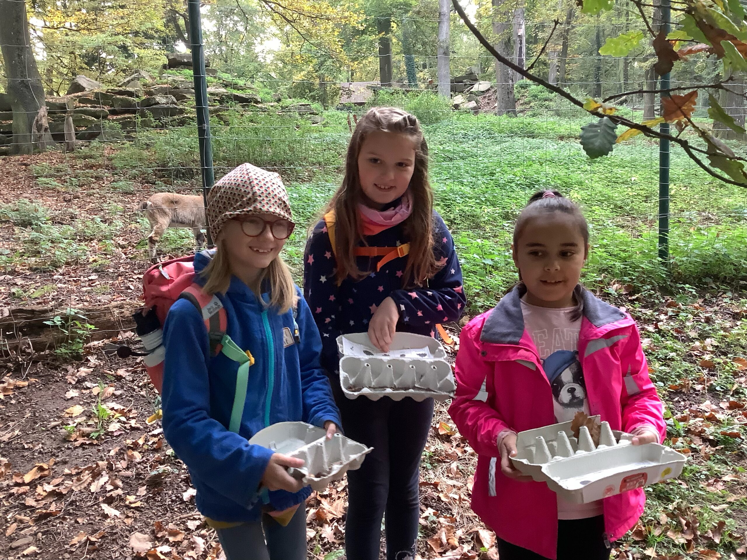 Schülerinnen beim Sammeln von Waldfrüchten.