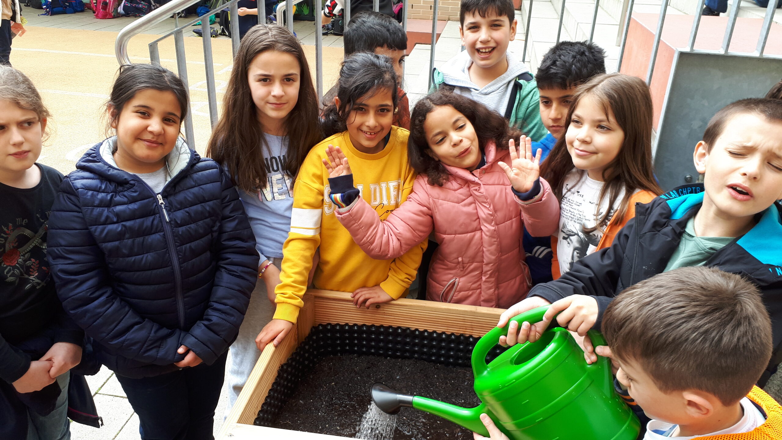 Schülergruppe bepflanzt ein Hochbeet