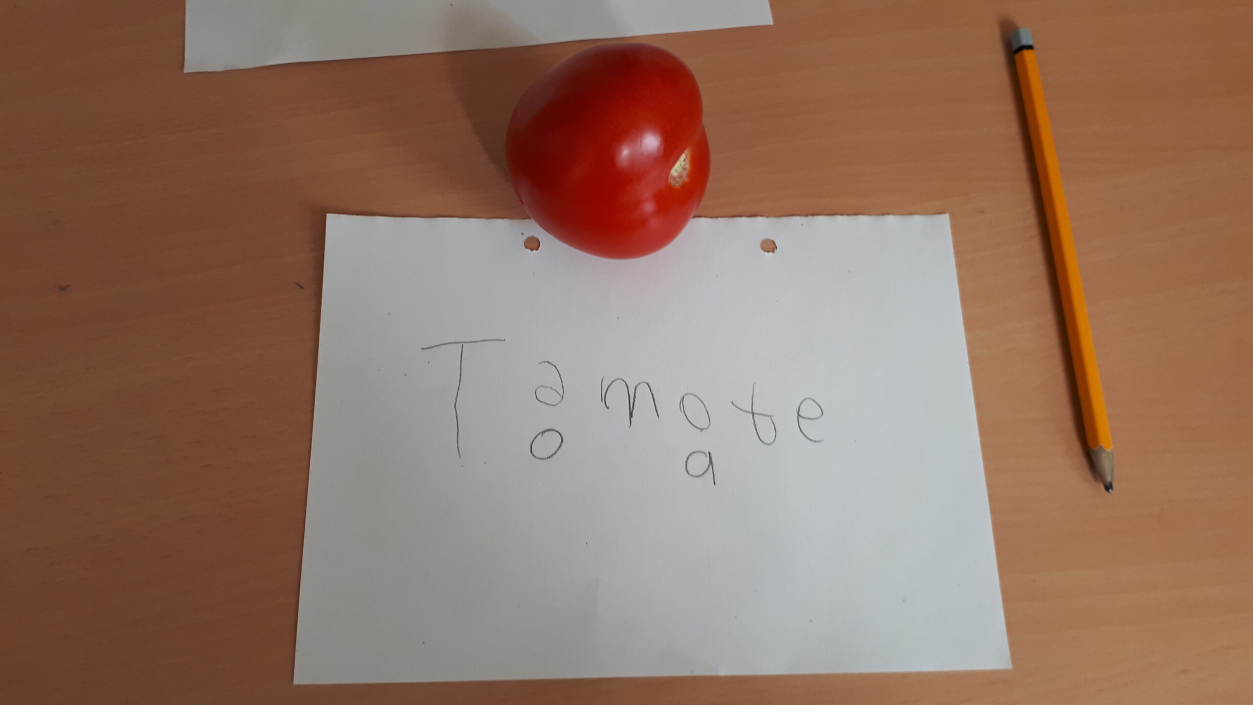 Tomate mit Plakat