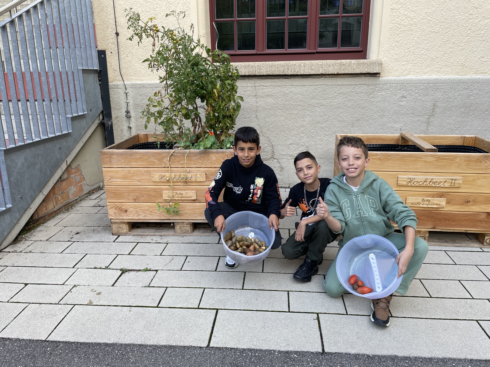 3 Schüler bei den Hochbeeten mit geernteten Kartoffeln