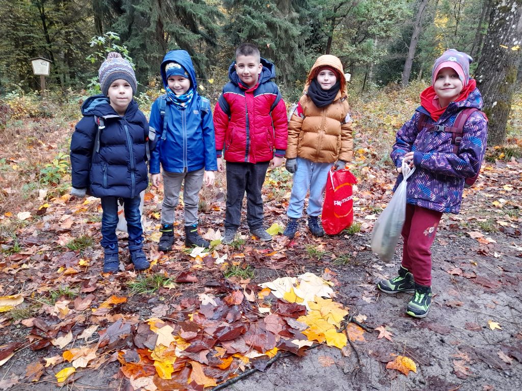 Schüler beim Blättersammeln im Wald