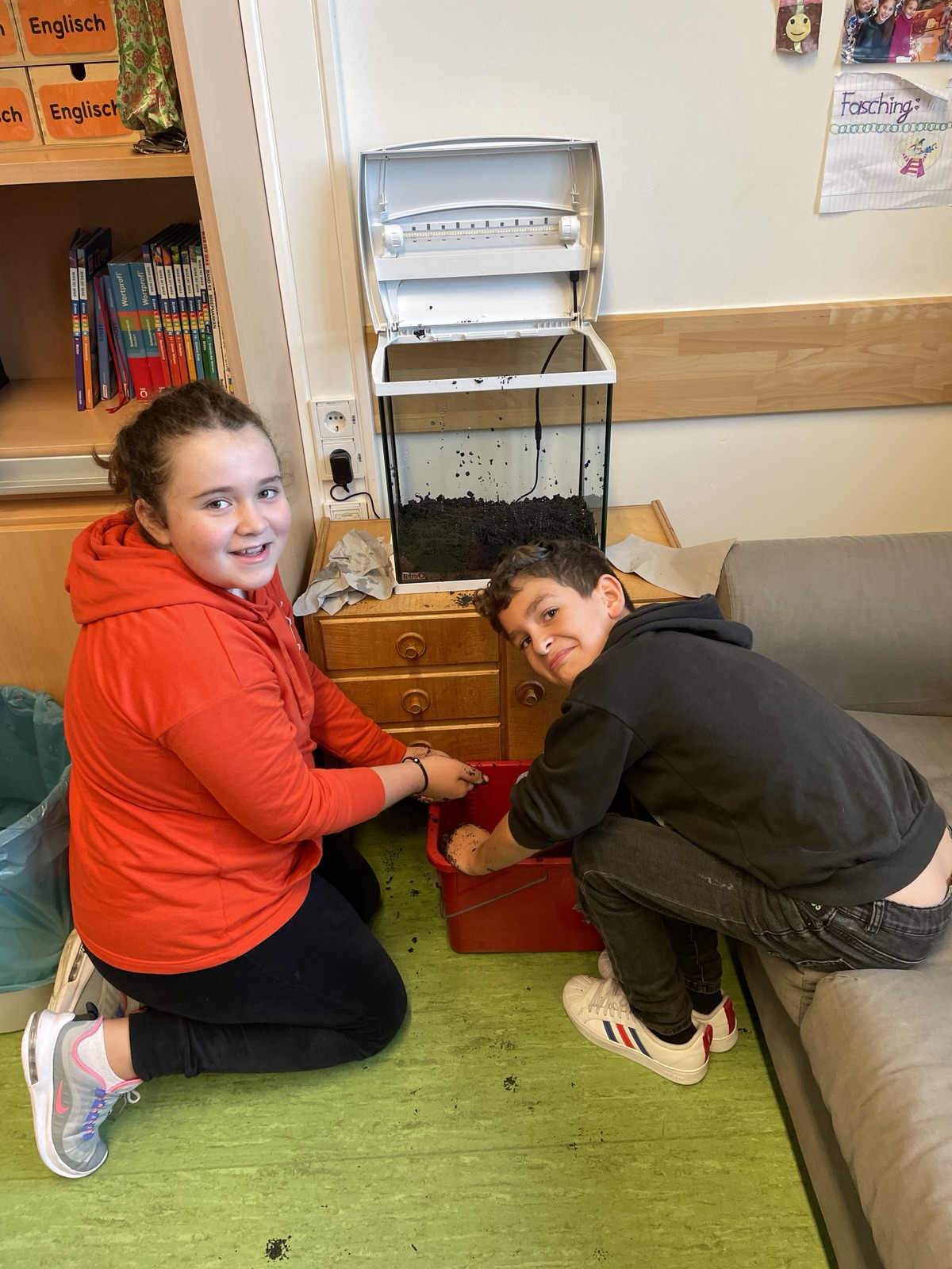 Zwei Schüler bereiten das neue Aquarium vor
